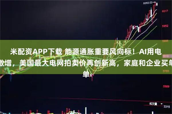 米配资APP下载 能源通胀重要风向标!AI用电激增,美国最大电网拍卖价再创新高,家庭和企业买单